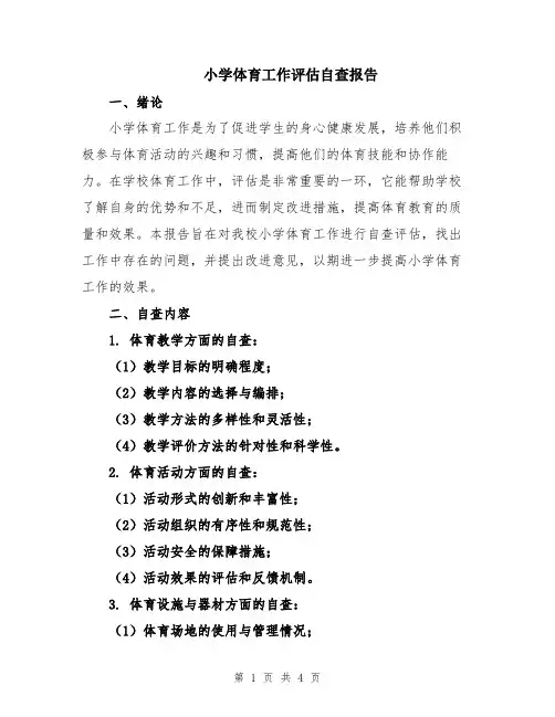 小学体育工作评估自查报告