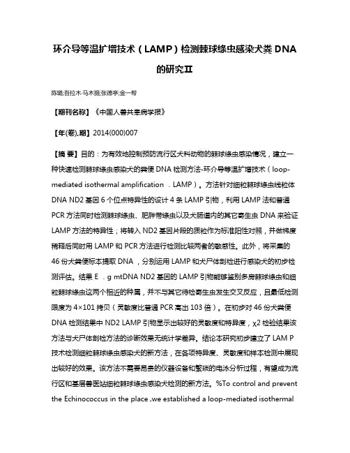环介导等温扩增技术（LAMP）检测棘球绦虫感染犬粪DNA的研究Ⅱ
