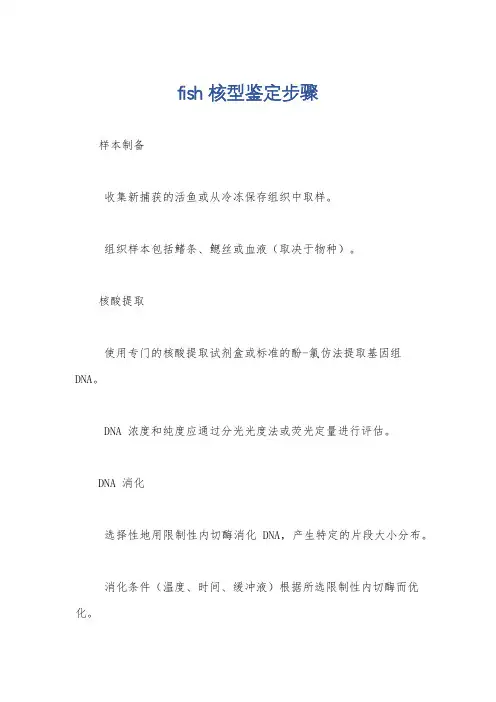 fish核型鉴定步骤