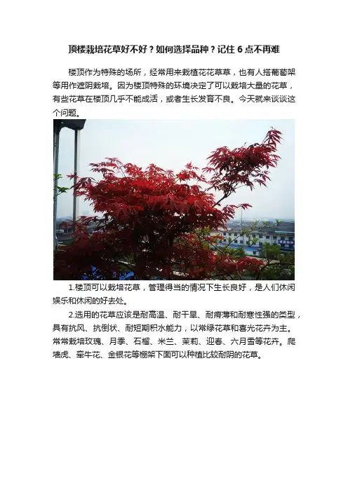 顶楼栽培花草好不好？如何选择品种？记住6点不再难