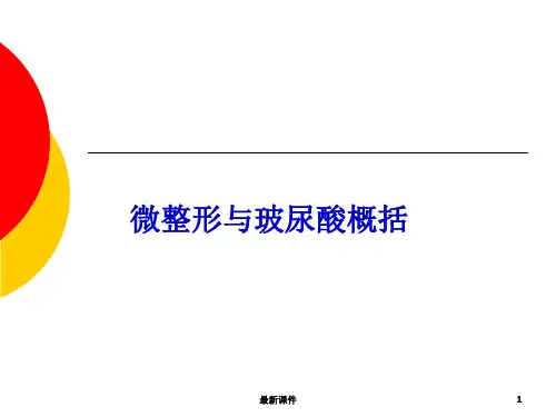 玻尿酸(瑞蓝)ppt课件