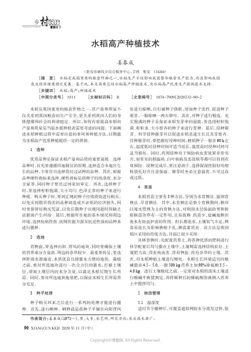 水稻高产种植技术