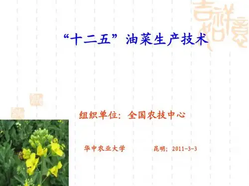 十二五油菜高产栽培技术—华中农业大学