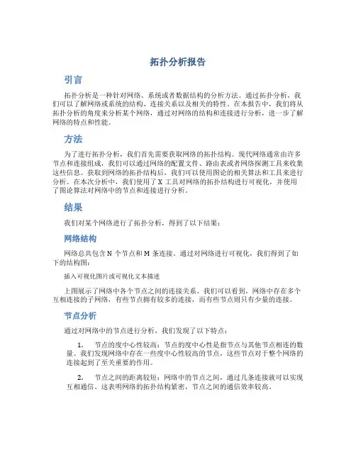 拓扑分析报告