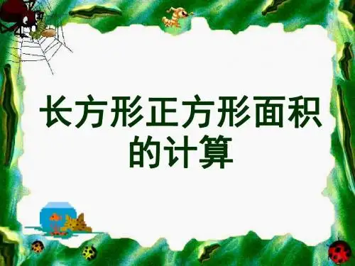 长方形和正方形面积计算
