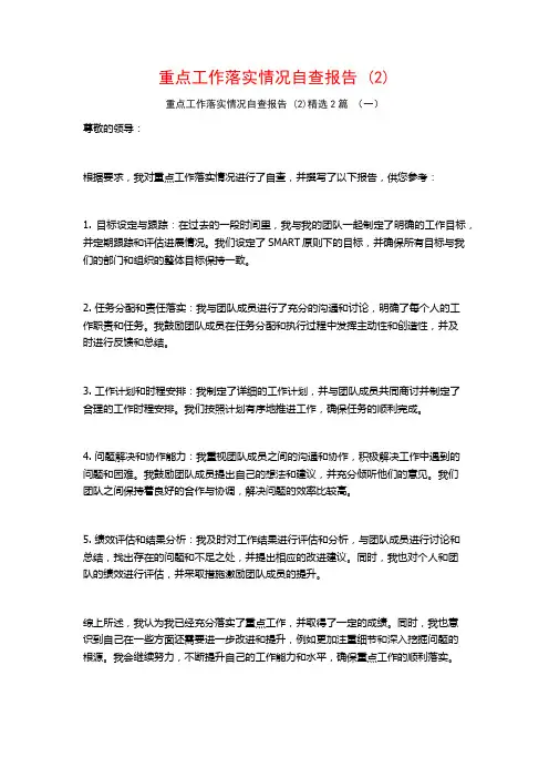 重点工作落实情况自查报告 (2)2篇