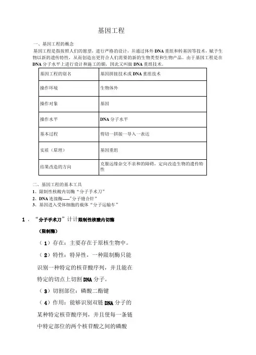 基因工程知识点超全