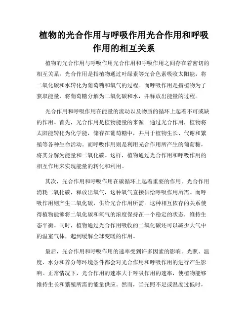 植物的光合作用与呼吸作用光合作用和呼吸作用的相互关系