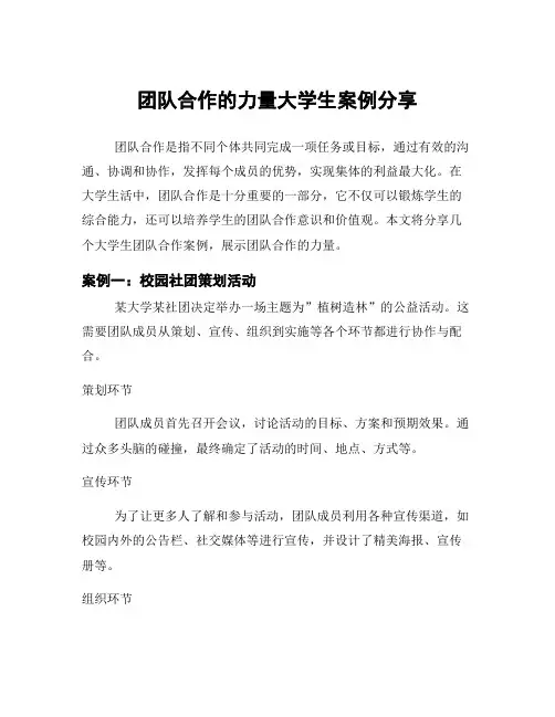 团队合作的力量大学生案例分享