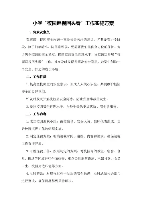 小学“校园巡视回头看”工作实施方案