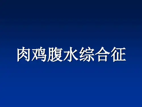 肉鸡腹水综合症