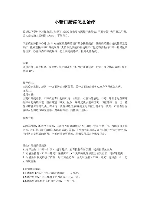 小猪口蹄疫怎么治疗