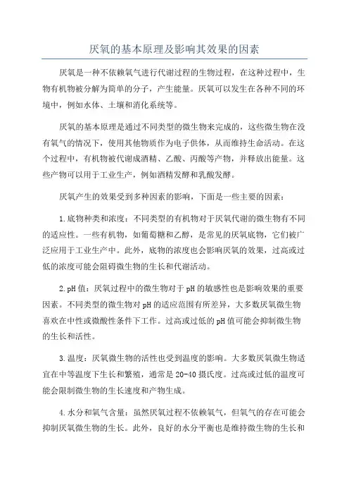 厌氧的基本原理及影响其效果的因素