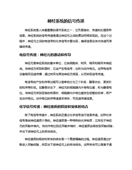 神经系统的信号传递