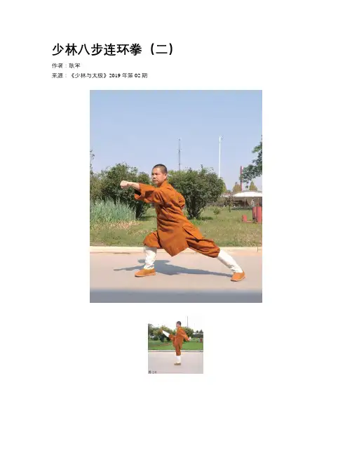 少林八步连环拳(二)