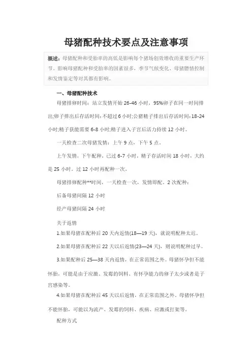母猪配种技术要点及注意事项