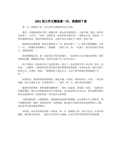 2021初三作文精选那一天,我遇到了你