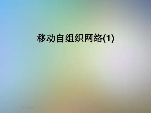 移动自组织网络(1)