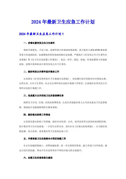 2024年最新卫生应急工作计划