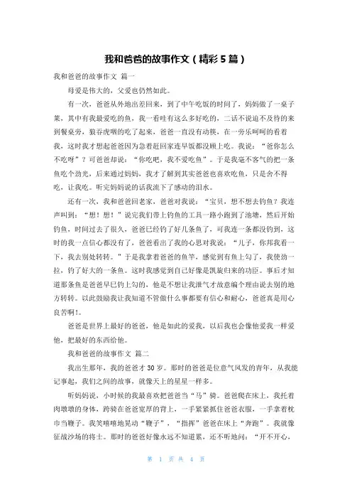 我和爸爸的故事作文(精彩5篇)