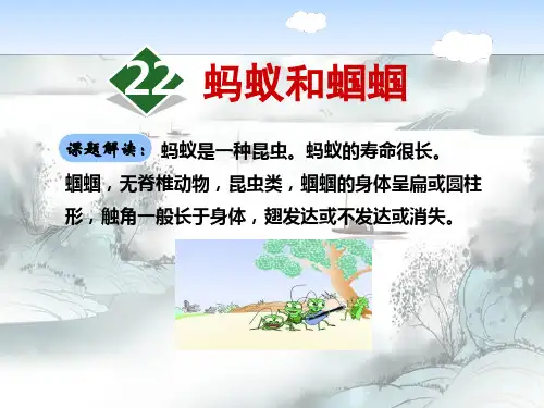 《蚂蚁和蝈蝈》演示课件