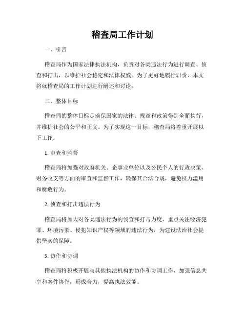 稽查局工作计划