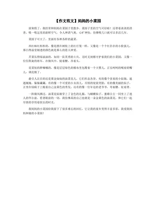 【作文范文】妈妈的小菜园