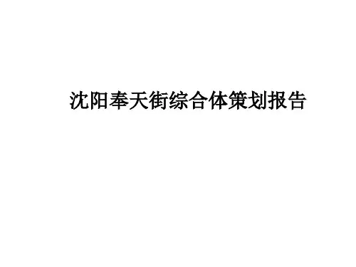 辽宁沈阳奉天街综合体项目定位