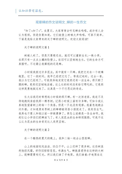 观察蝉的作文说明文_蝉的一生作文