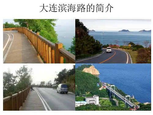 大连滨海路的简介