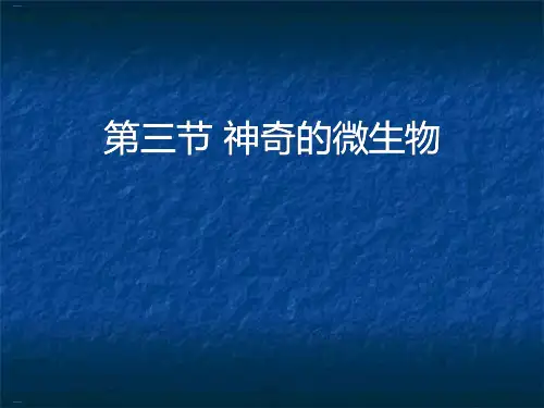 《神奇的微生物》PPT-完美版