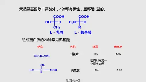 氨基酸和蛋白质