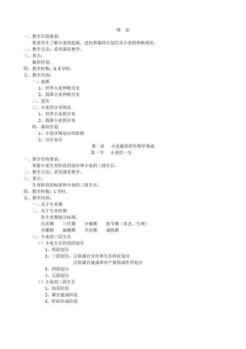 小麦栽培教案(农学)