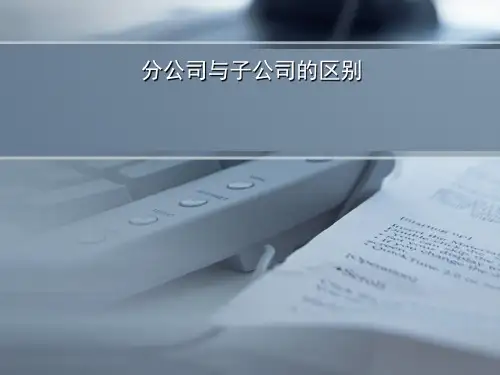 分公司与子公司的区别ppt课件