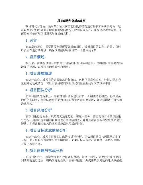 项目现状与分析怎么写