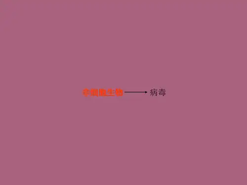 高中生物第一册第3章生命的结构基础3.3非细胞形态的生物__簿2ppt课件