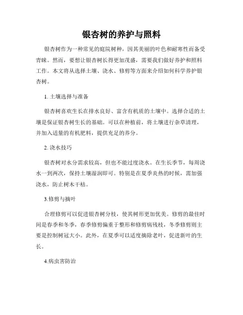 银杏树的养护与照料