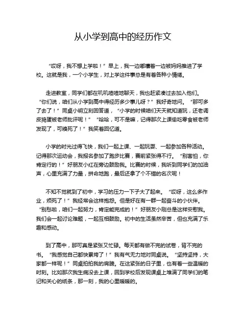 从小学到高中的经历作文