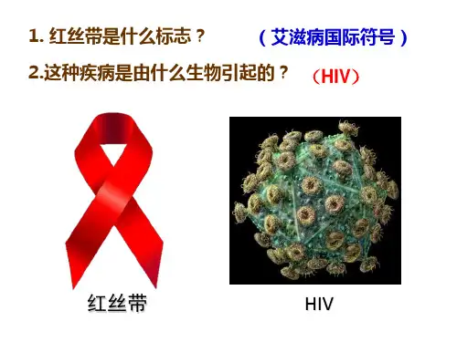 病毒课件2023--2024学年人教版生物八年级上册