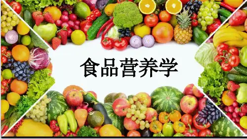 食品营养学-乳制品的营养价值