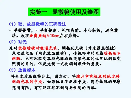 细胞生物学实验-显微镜使用及绘图