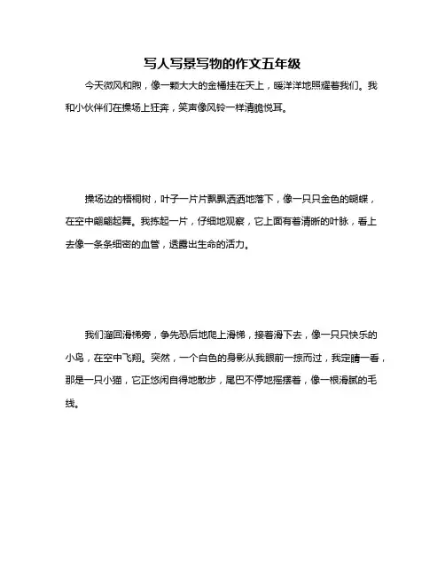 写人写景写物的作文五年级