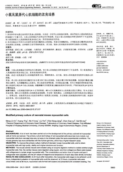 小鼠乳鼠原代心肌细胞的改良培养