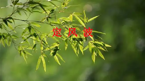 9下(第三单元)课外古诗词诵读