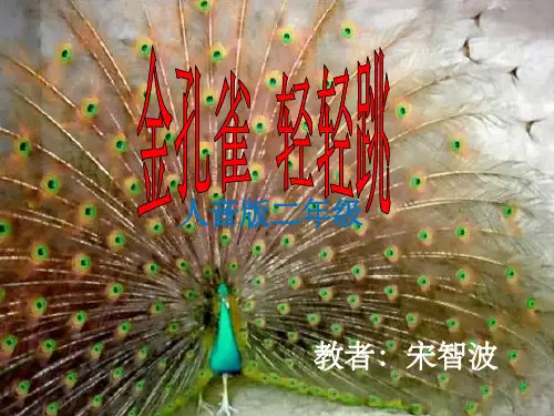 《金孔雀轻轻跳》PPT课件成品
