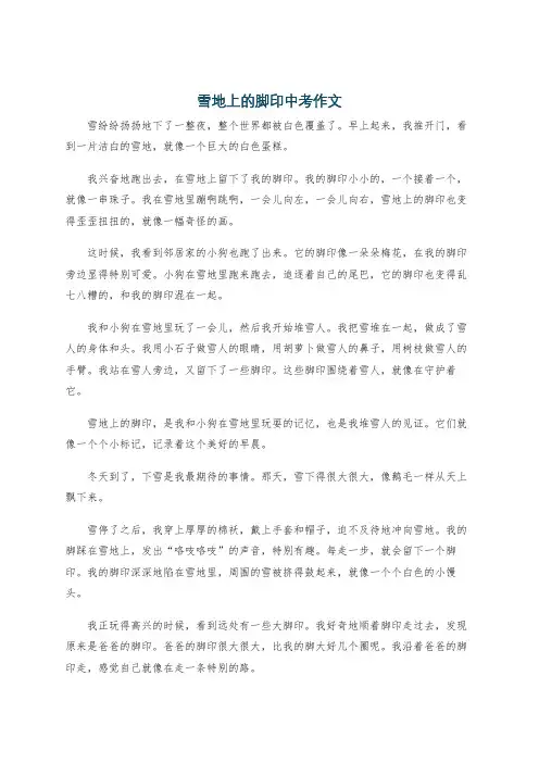 雪地上的脚印中考作文