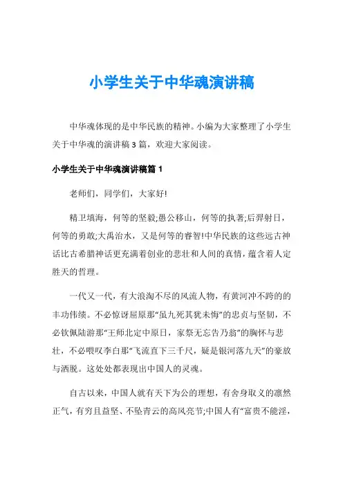 小学生关于中华魂演讲稿