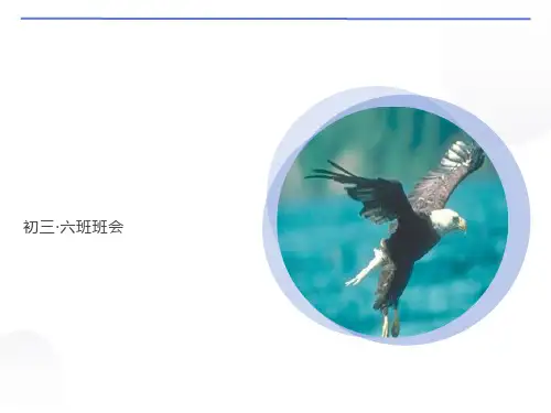 初三·六班班会《展翅翱翔》