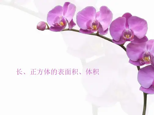 长方体、正方体必考题型练习题