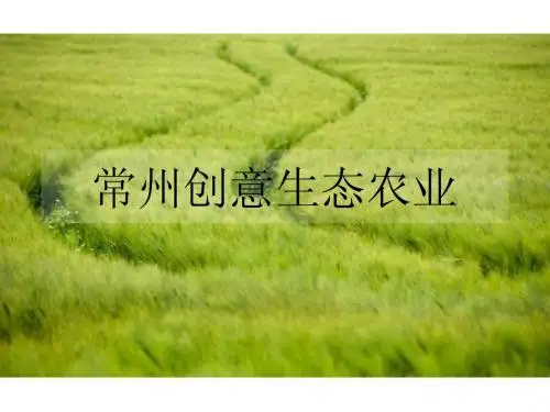 常州创意生态农业PPT